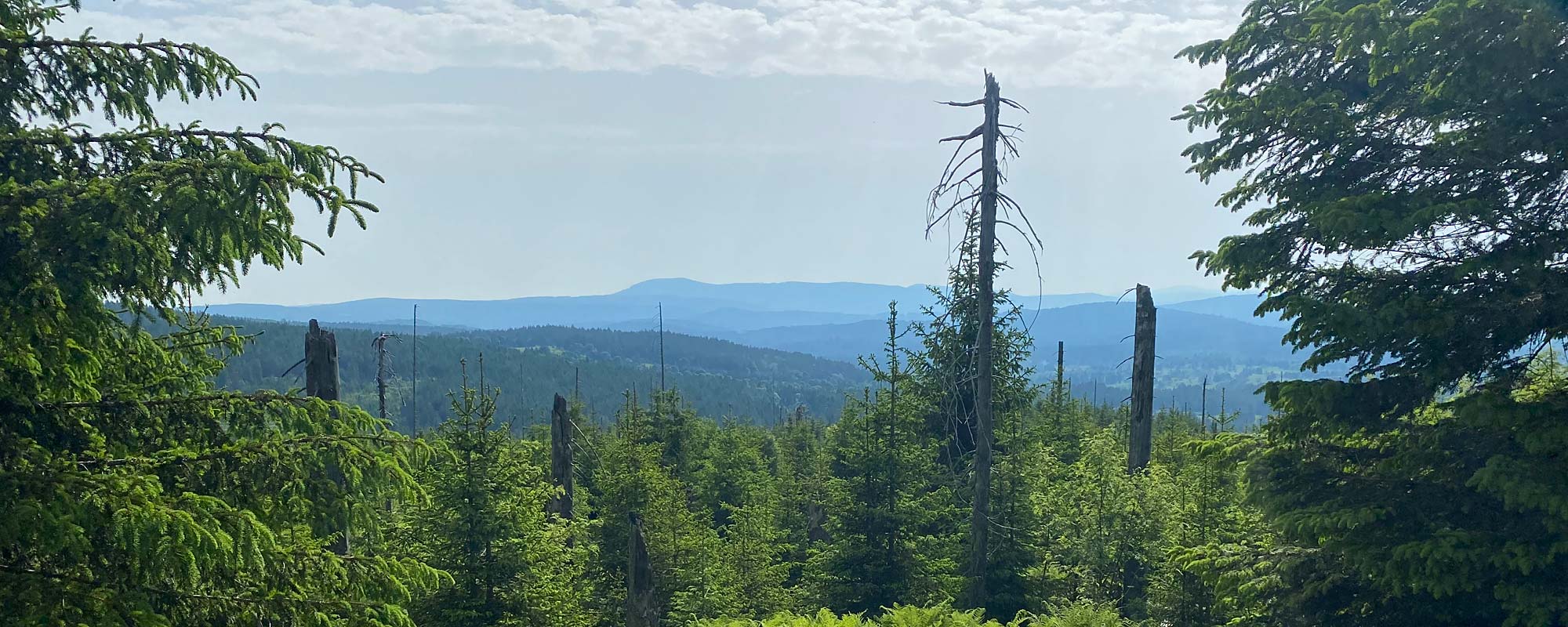 Urlaub im Bayerischen Wald