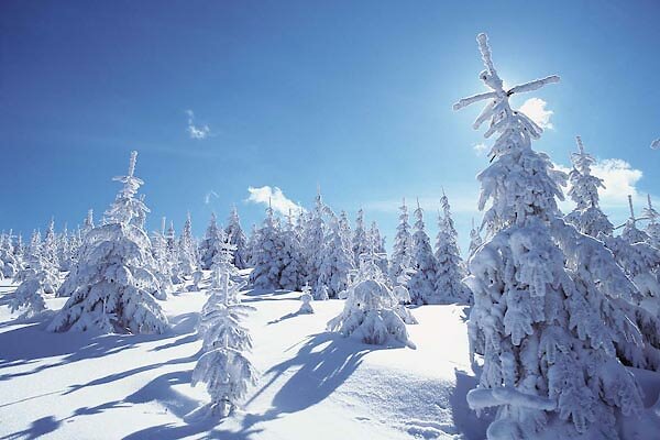 Winterlandschaft in Bayern